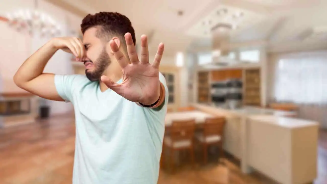 il tuo odore dipende da quello che mangi scopri i cibi che ti rendono pi249 attraente da Cibosia.it il tuo odore dipende da quello che mangi scopri i cibi che ti rendono pi249 attraente