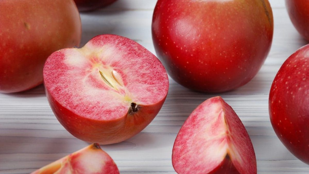 la mela dalla polpa rossa che conquista al primo morso da Cibosia.it la mela dalla polpa rossa che conquista al primo morso