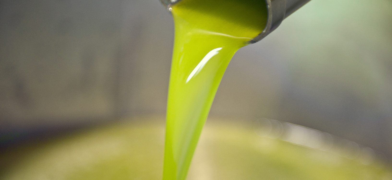 olio extravergine di oliva perch233 sotto i 9 euro al litro 232 impossibile produrlo in italia da Cibosia.it olio extravergine di oliva perch233 sotto i 9 euro al litro 232 impossibile produrlo in italia