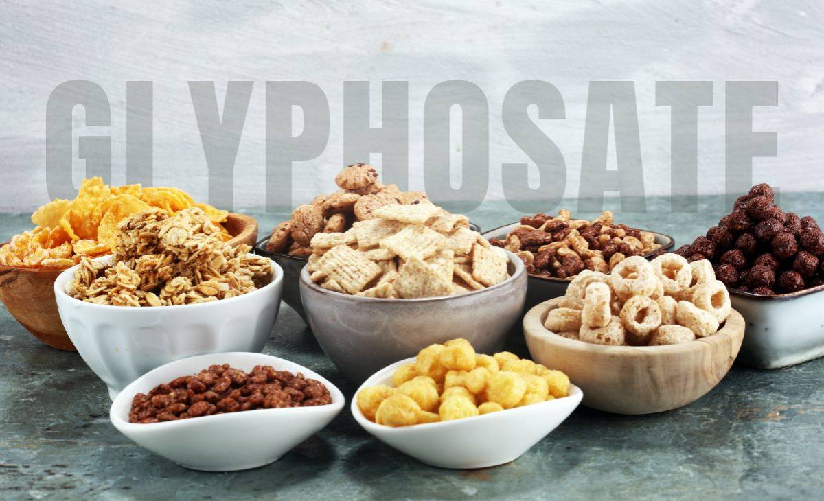 Crolla dopo 25 anni uno dei pilastri della difesa del glifosato: ritrattato lo studio di Williams, Kroes e Munro Crolla dopo 25 anni uno dei pilastri della difesa del glifosato: ritrattato lo studio di Williams, Kroes e Munro