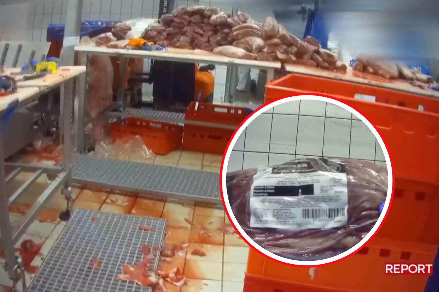 carne scaduta finalmente allerta alimentare 180 tonnellate sequestrate al macello bervini da Cibosia.it carne scaduta finalmente allerta alimentare 180 tonnellate sequestrate al macello bervini