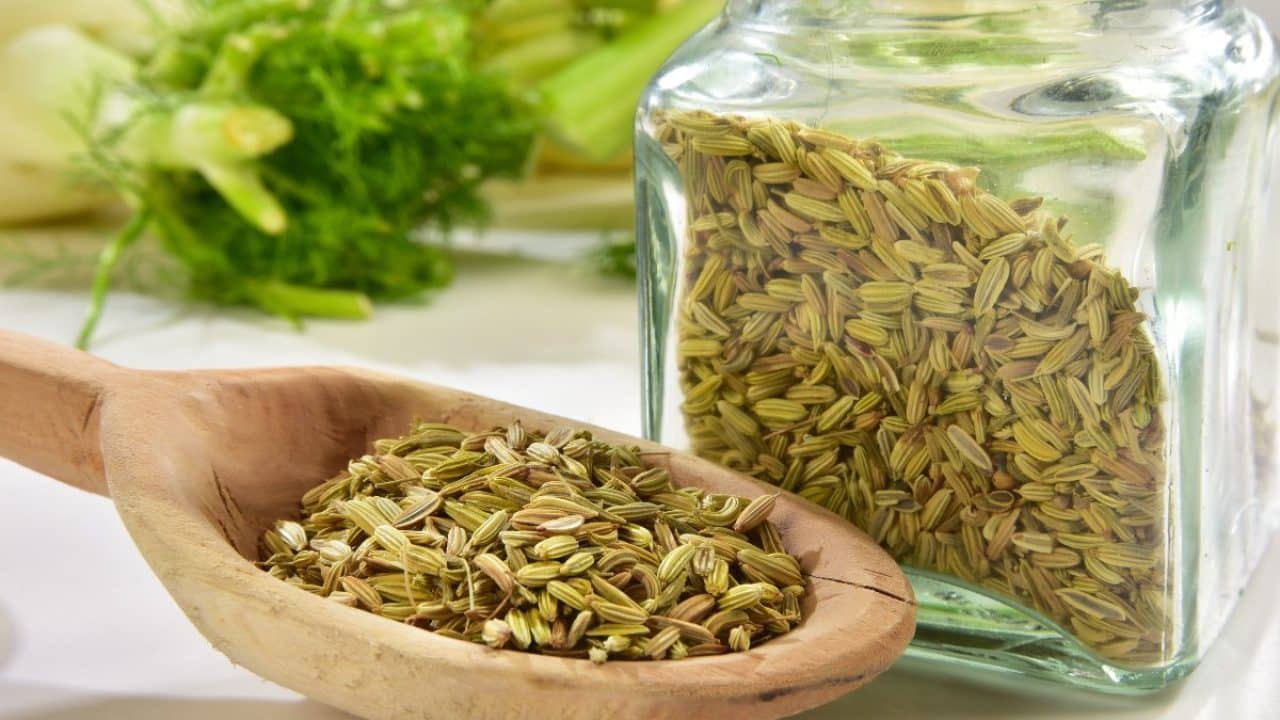 Semi di finocchio dopo i pasti: un aiuto naturale per la digestione Semi di finocchio dopo i pasti: un aiuto naturale per la digestione