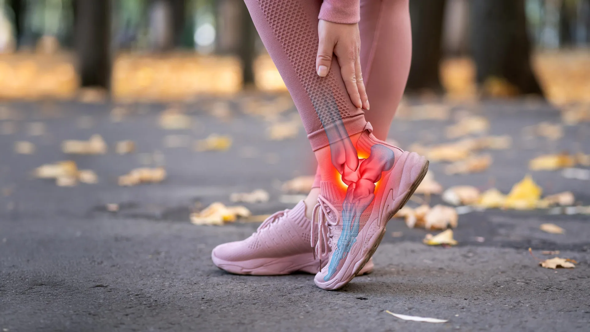 Tendini fragili? La ricerca svela il ruolo di HIF1 nel dolore Tendini fragili? La ricerca svela il ruolo di HIF1 nel dolore